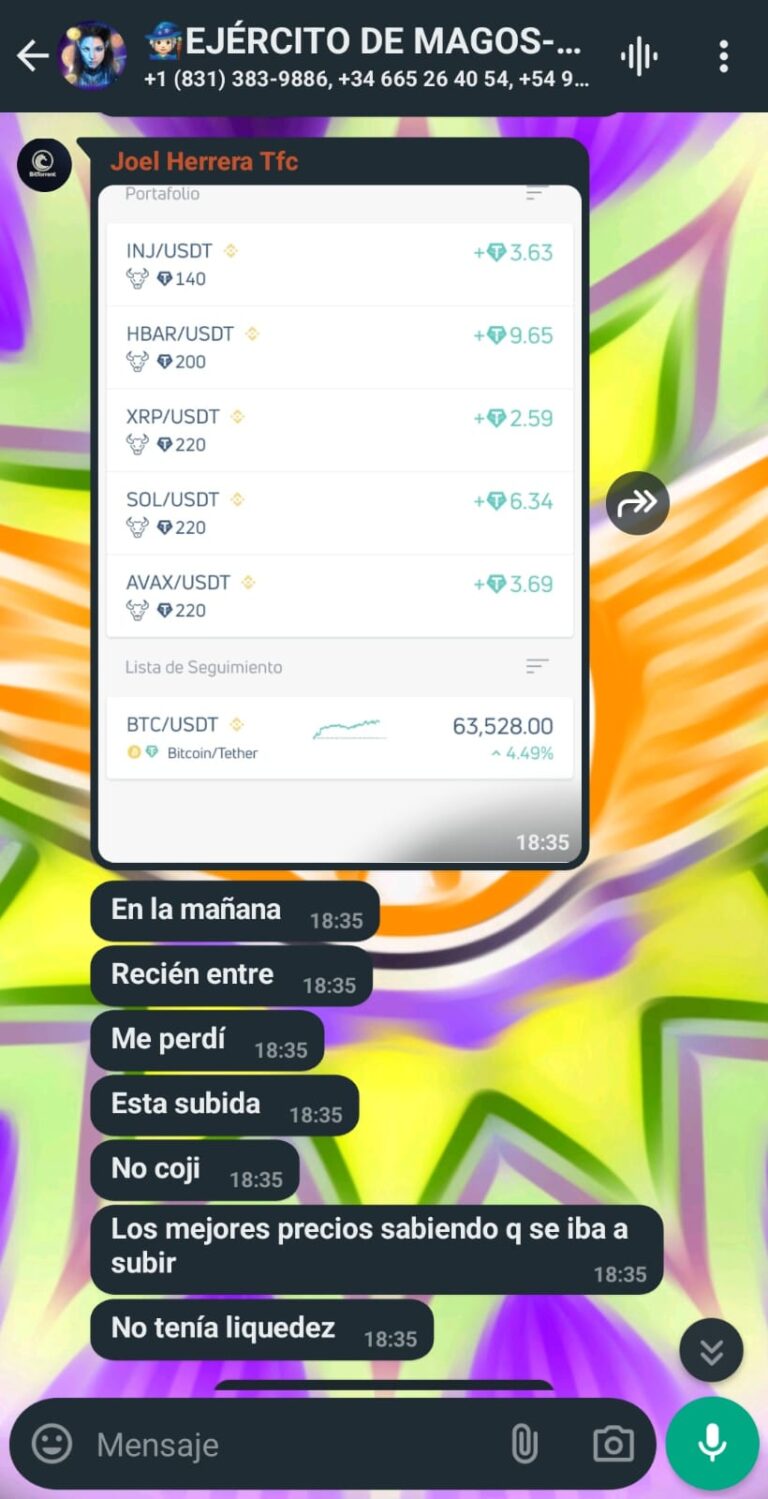 WhatsApp Image 2024-07-16 at 19.07.43